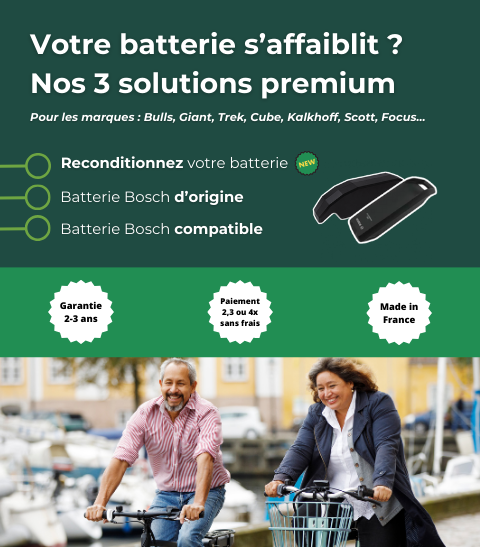 Reconditionnement de batteries discount pour velo electrique